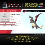 Gigantamax Package - Charizard Summary