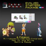 Galar Evolved Starters Trio - Hero