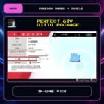6IV Ditto Package in-game view for Pokemon Sword and Shield.