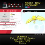 Regis Team Package - Regieleki Summary