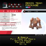 Regis Team Package - Regirock Summary