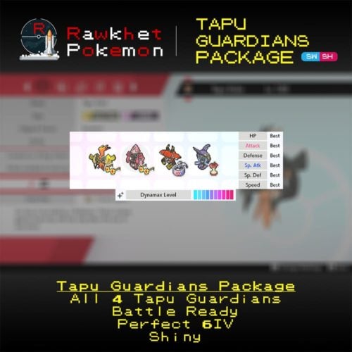 Tapu Guardians - Hero