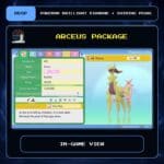 Arceus Package in-game view for Pokemon Brilliant Diamond and Shining Pearl.